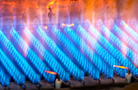 Norton Disney gas fired boilers